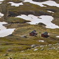 IMG25176 Ny-Sulitjelma fjellstue  580m 